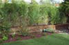 Golders Green Garden Designers
