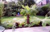 Ascot Garden Designers