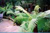 Middlesex Garden Designers