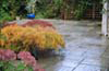 Watford Garden Designers