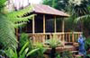 West London Garden Shed