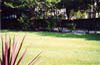 xxx Lawns