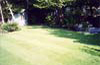 Garden Lawn and Turf