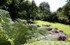 Ascot Lawns