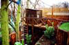 Mapesbury Tree Houses