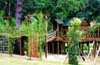 xxx Tree Houses