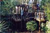 Brondesbury Tree Houses
